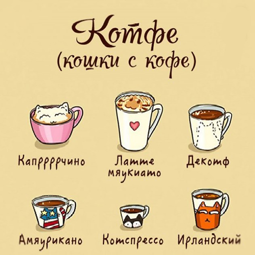 Кофе и котики