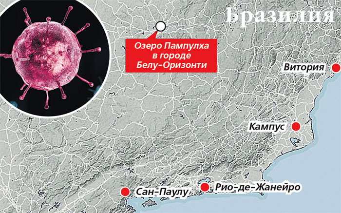 Неизвестный вирус в Бразилии