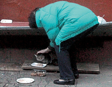 Уличные киски заменили ФАТЕЕВОЙ детей и внуков 