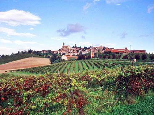 В ЮНЕСКО знают, где самые красивые пейзажи - в Пьемонте