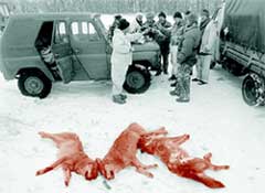 ТОСТ: с волками жить, по - волчьи пить