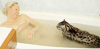 ИЗ ЖИЗНИ ВОДОПЛАВАЮЩИХ: за грудки не заплывать