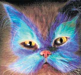 НЕБЕСНЫЕ ТОНА: придают питомцу философский вид