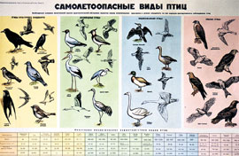 СТАРЫЙ ПЛАКАТ: висит в каждом аэропорту России