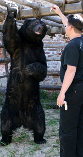 СТЕПАН: вес - 500 кило, рост - два метра