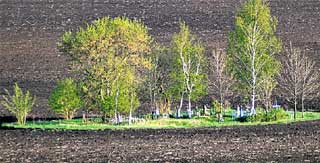 ХУТОРСКОЕ КЛАДБИЩЕ: немецких могил почти не осталось