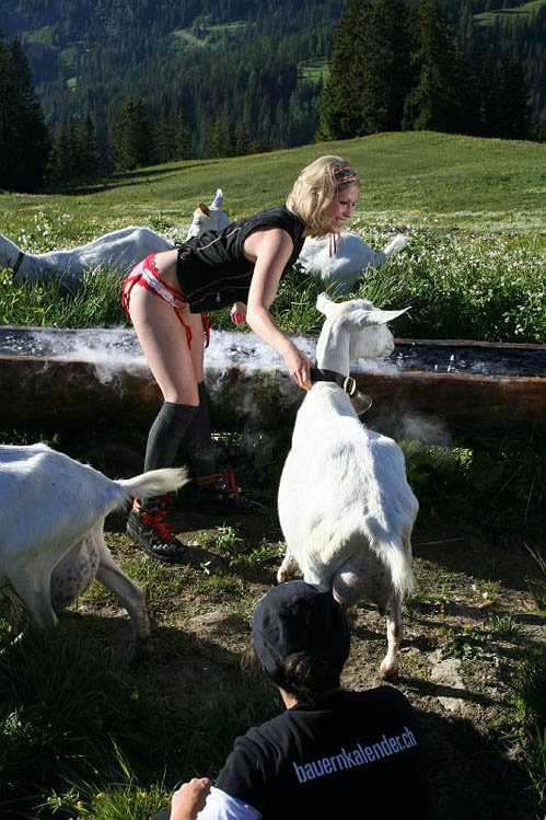 ...и с домашними животными, принадлежащими самим девушкам.